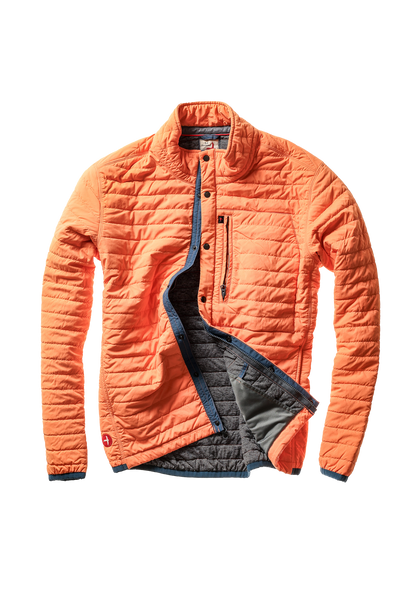orangefadepaintedbird