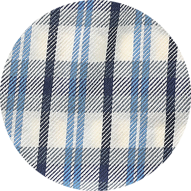 
White/Blue Vertical Plaid
